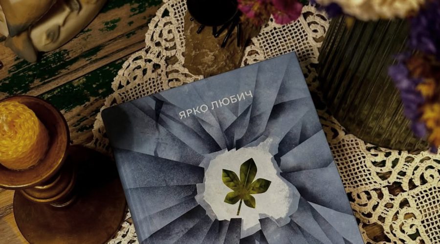 Презентація роману “Коли зацвіте каштан”