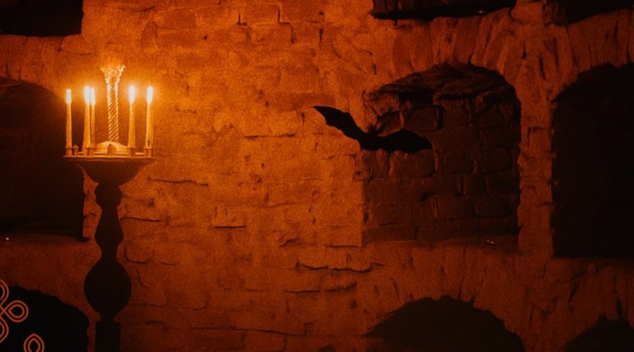 Вулиці Володимира дихають інакше…