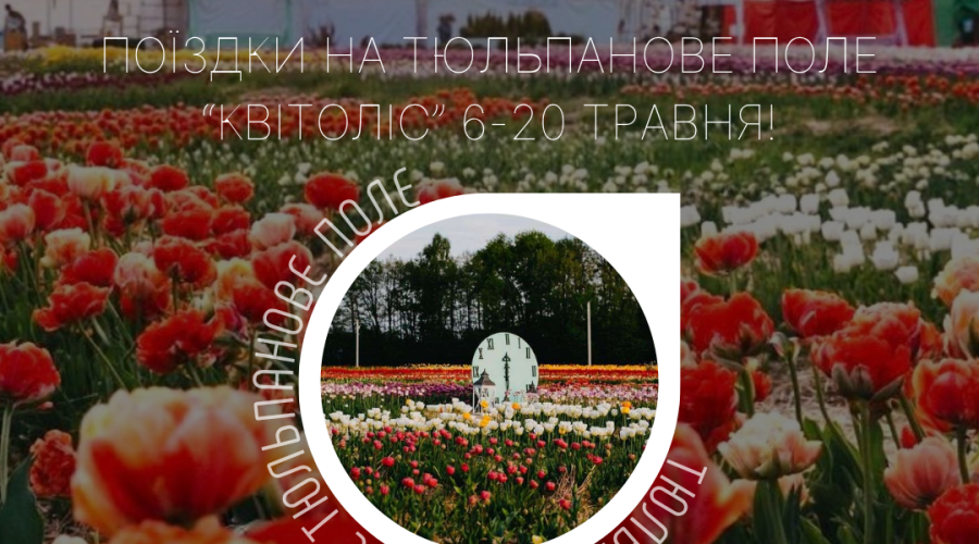 Тури на тюльпанове поле «КВІТОЛІС»